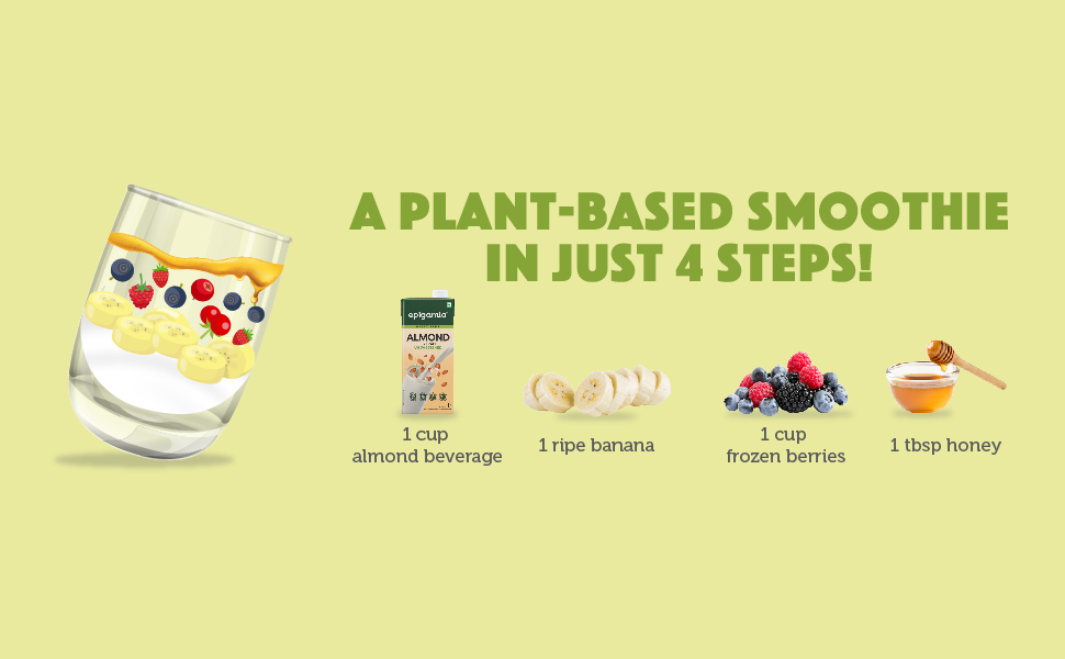 Epigamia Unsweetened Almond Milk Pack of 2 Amazon.in Grocery