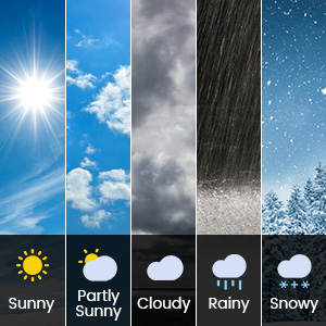 wireless indoor/outdoor weather station