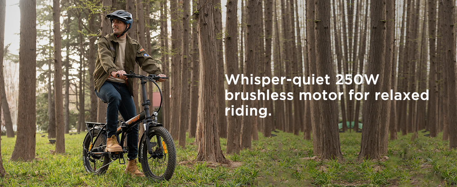 Forest scene showing cyclist on path among tall pine trees. Natural outdoor setting with diffused sunlight filtering through branches.