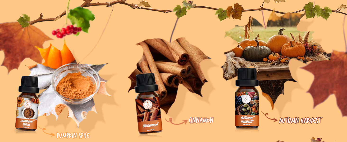 Essential Oils Set