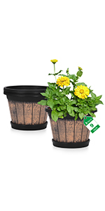 Whiskey Barrel Planters with Drainage Holes & Saucer