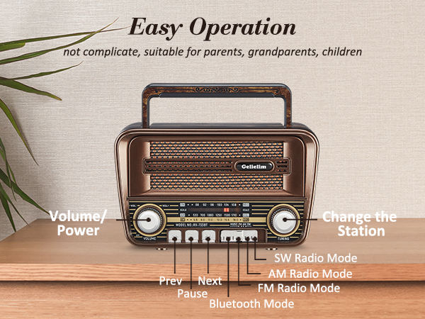 Gelielim Portable Retro Bluetooth Radio with Shortwave Support