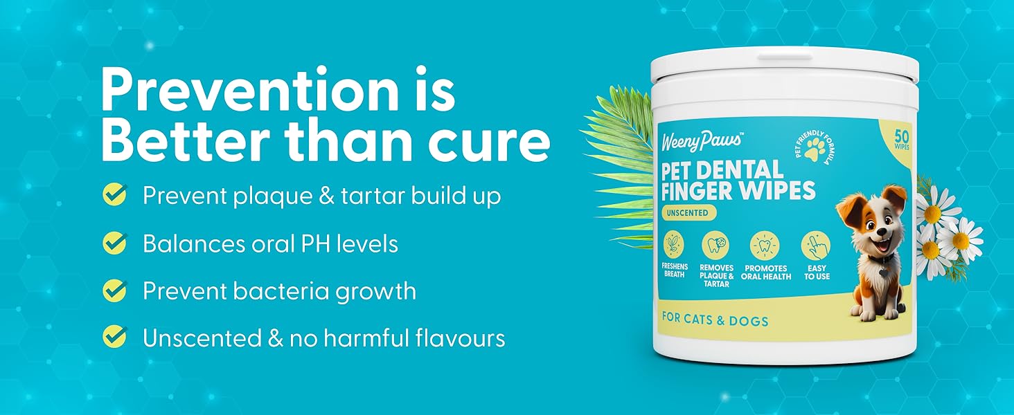 Prevention is Better than cure