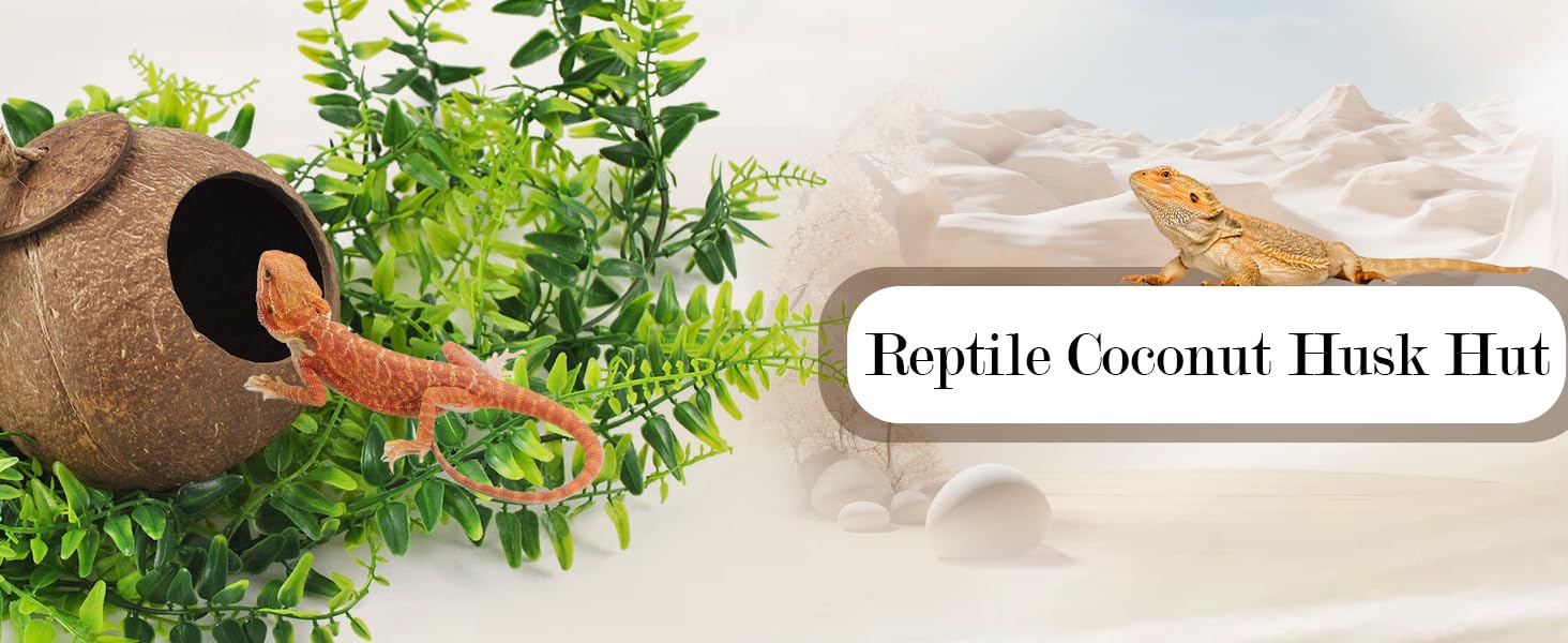 Crested Gecko Coconut Hide Natural Lizard Coco Hut Reptile Hanging