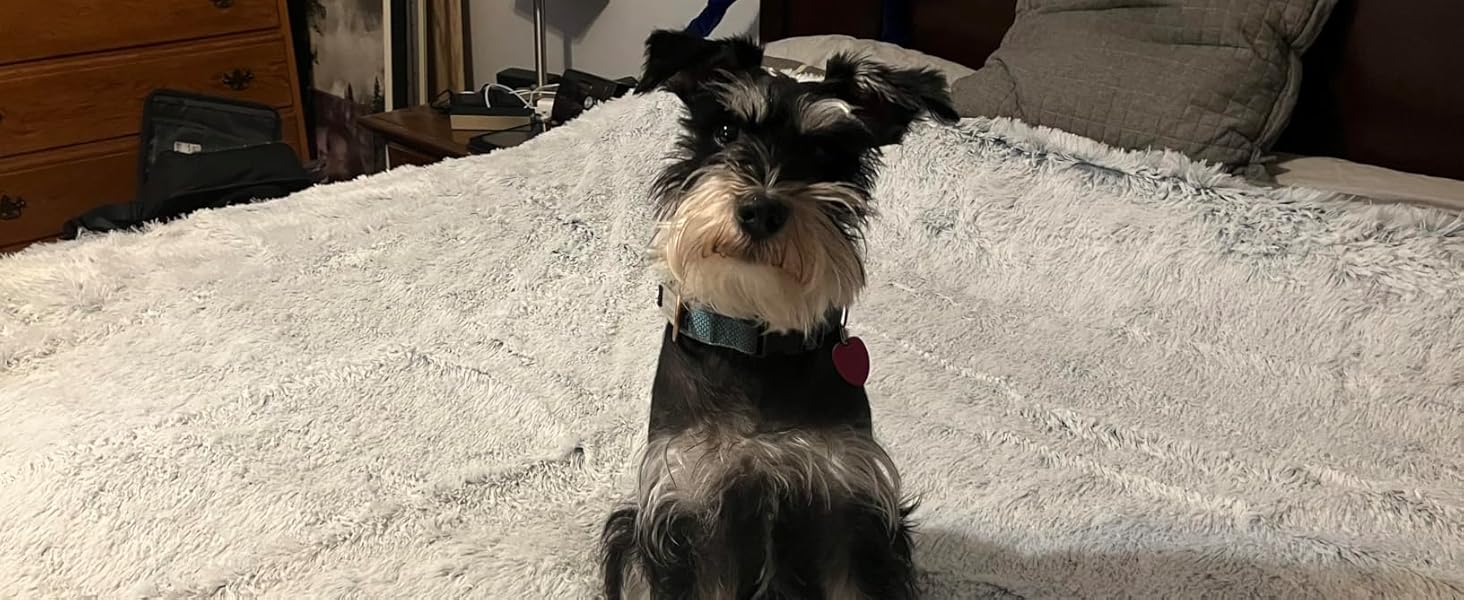 Large Dog Bed Blanket