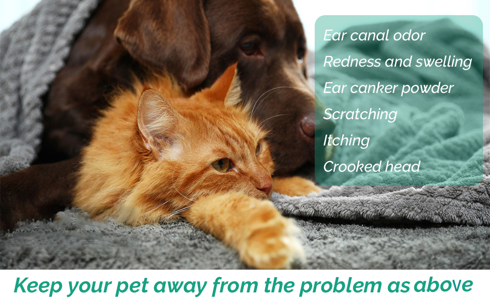 dog and cat ear cleaing