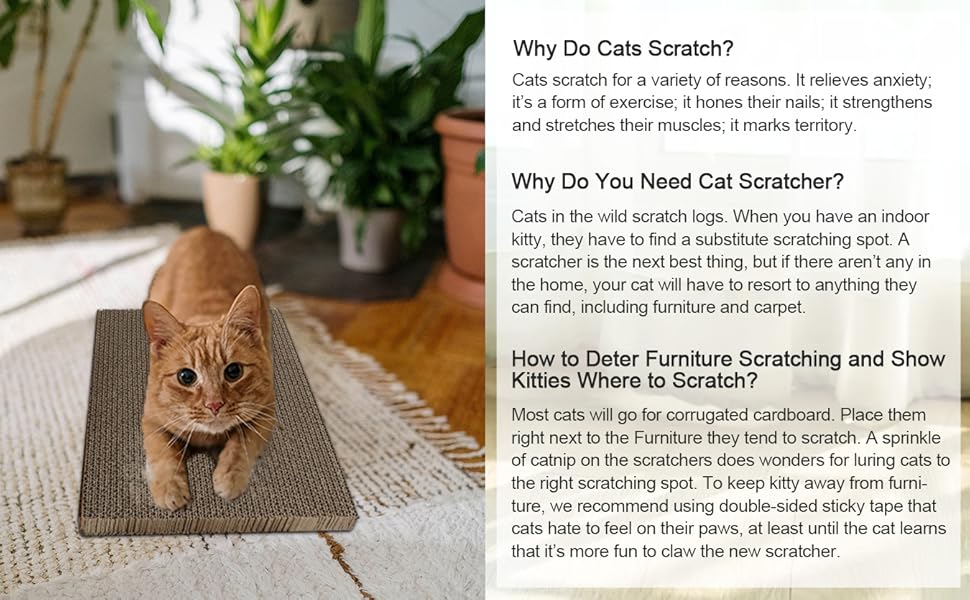 AUSCAT Cardboard Cat Scratcher with Box, 4 PCS Reversible Cat Scratch