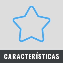 El texto dice «CARACTERÍSTICAS». Icono simple de contorno de estrella azul sobre fondo gris claro.