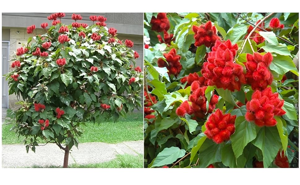 Large manufacture image 4