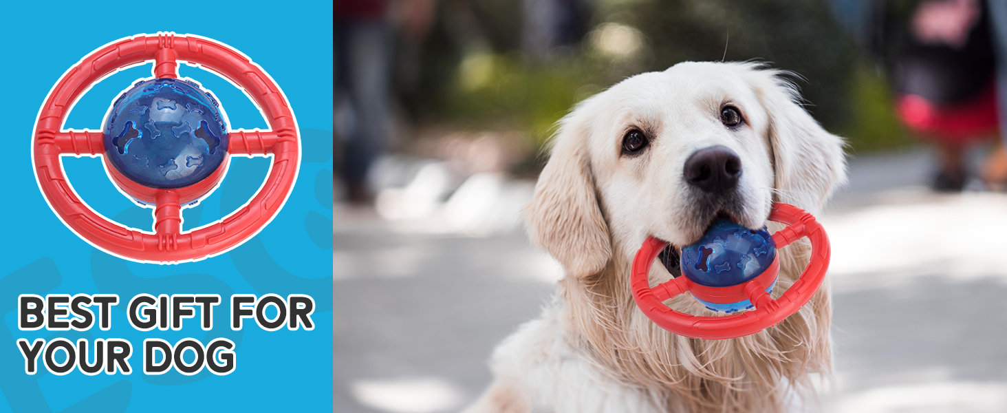 Treat Dispensing Dog Toys