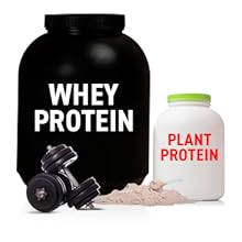 protein, protein oats, bagrry's, whey protein