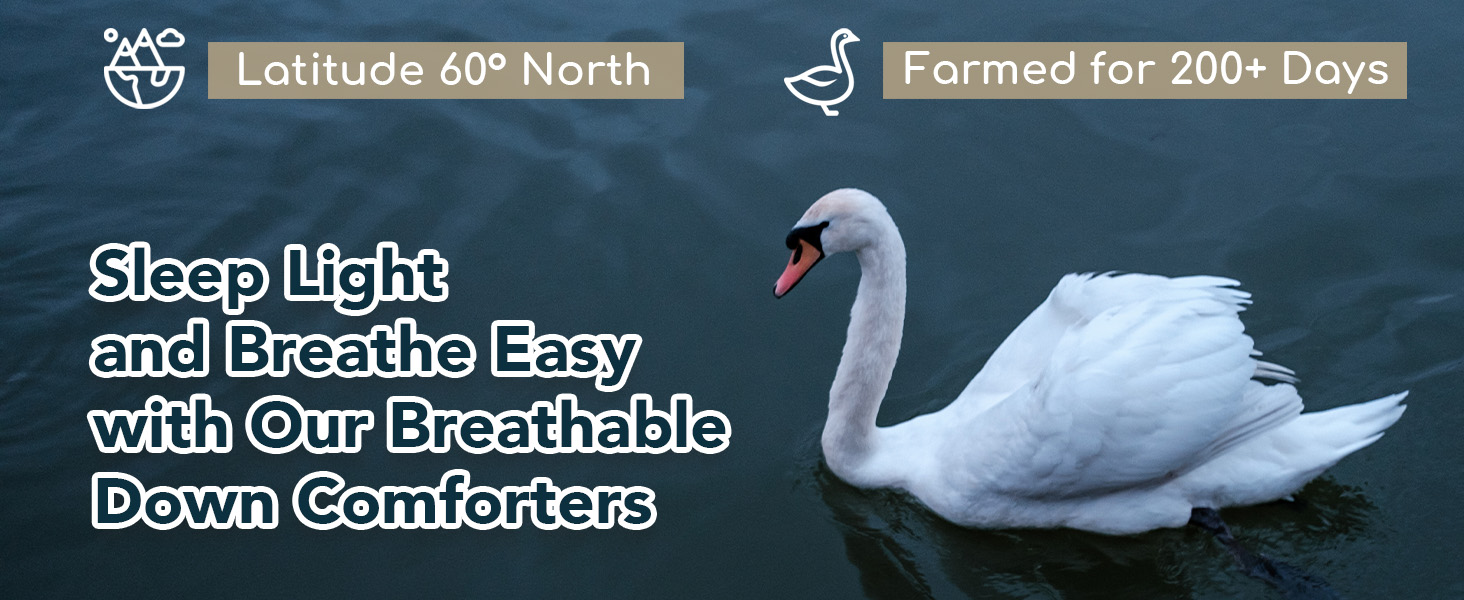 Dreamhood Luxury 90% Goose Feathers Comforter King Size - All Season Medium Warmth with 8 Corner Tabs (Navy, 106x90 Inch D4311e3b 7d86 444b 992b E4800b1865d4. CR0,0,1464,600 PT0 SX1464 V1