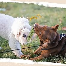 犬 ラバー製 おもちゃ