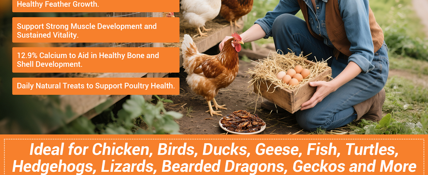 LuckyQworms Dried insects  with 12.9% calcium for  chickens, birds, turtles, and bearded dragons