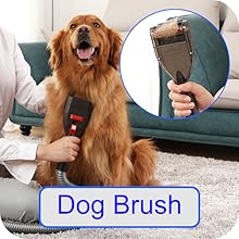Dog Brush