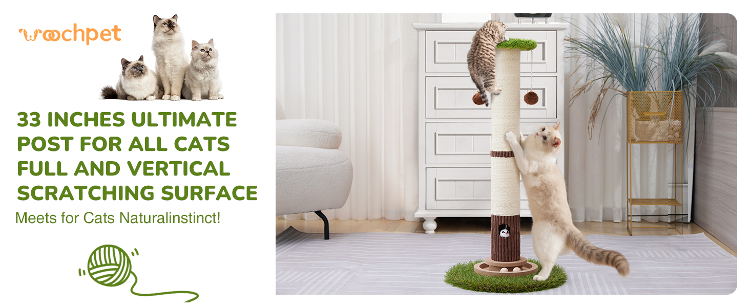 Scratcher Posts for Adults Cats