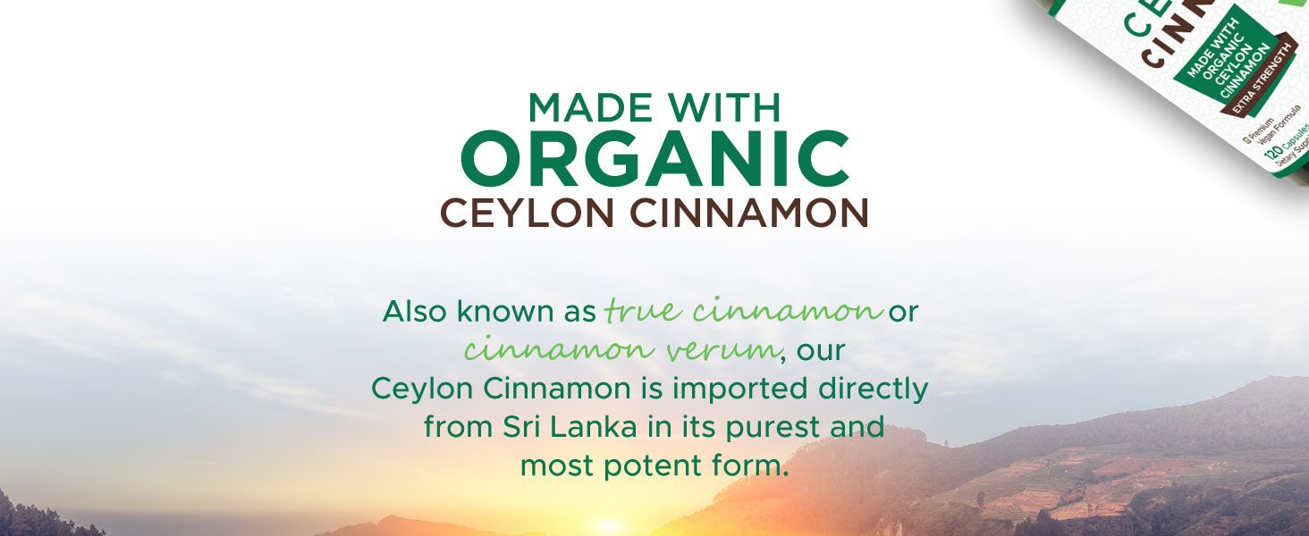 cinnamon capsule true cinnamon powder in each of our supplements pills capsule and are sugar free