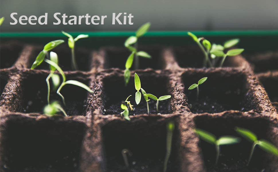 Seed starter kit