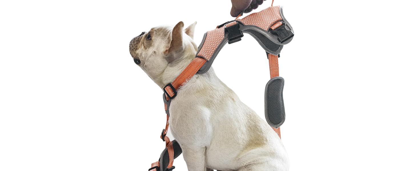 escape proof dog harness