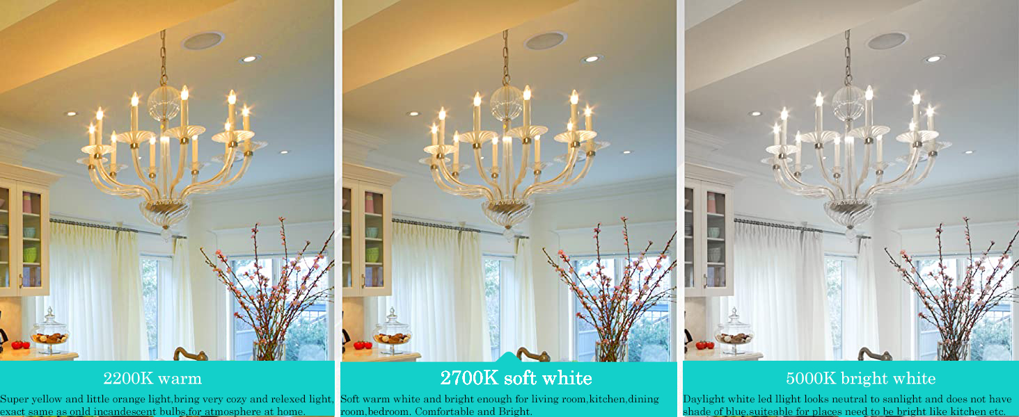 AMDTU LED Frosted Candelabra Light Bulbs, 40 watt Type B Soft White