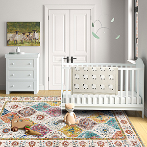 Living Room Area Rugs