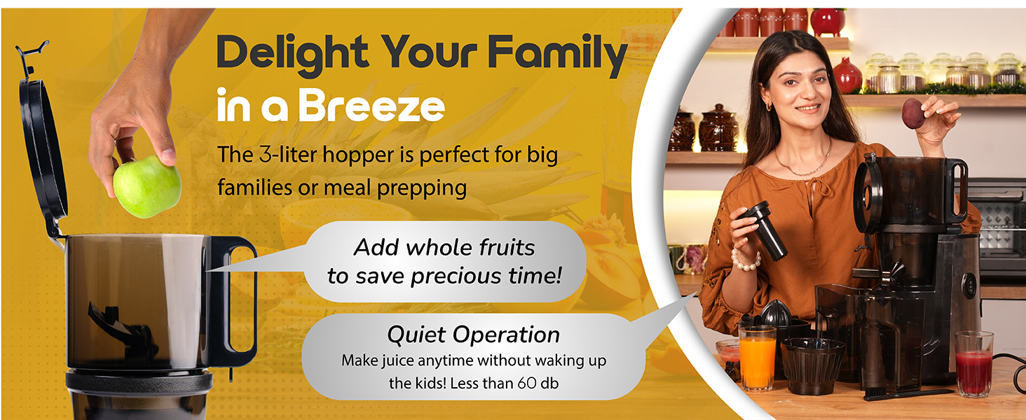 cold pressed juicer fruit slow juicer cold pressed juicer cold press slow juicer home manual