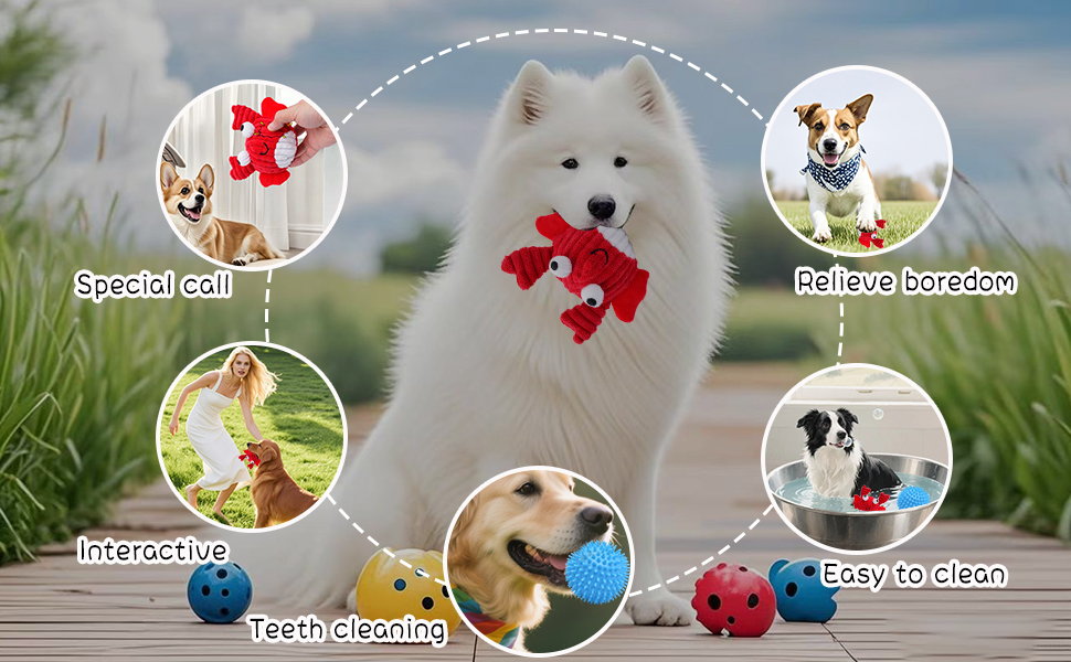 Fun Interactive Dog Toys 