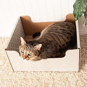 Small manufacture image 7