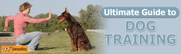 Ultimate Guide to Dog Training