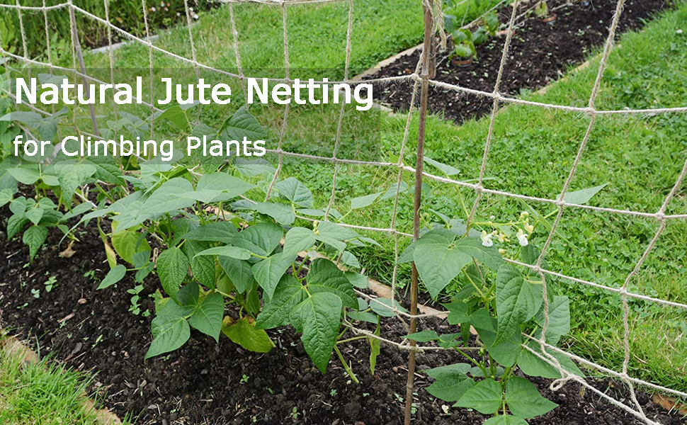 Ruiruao Jute Plant Support Netting 2x3M Natural Garden Pea Bean Net