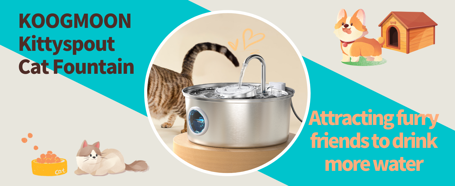 cat water fountain