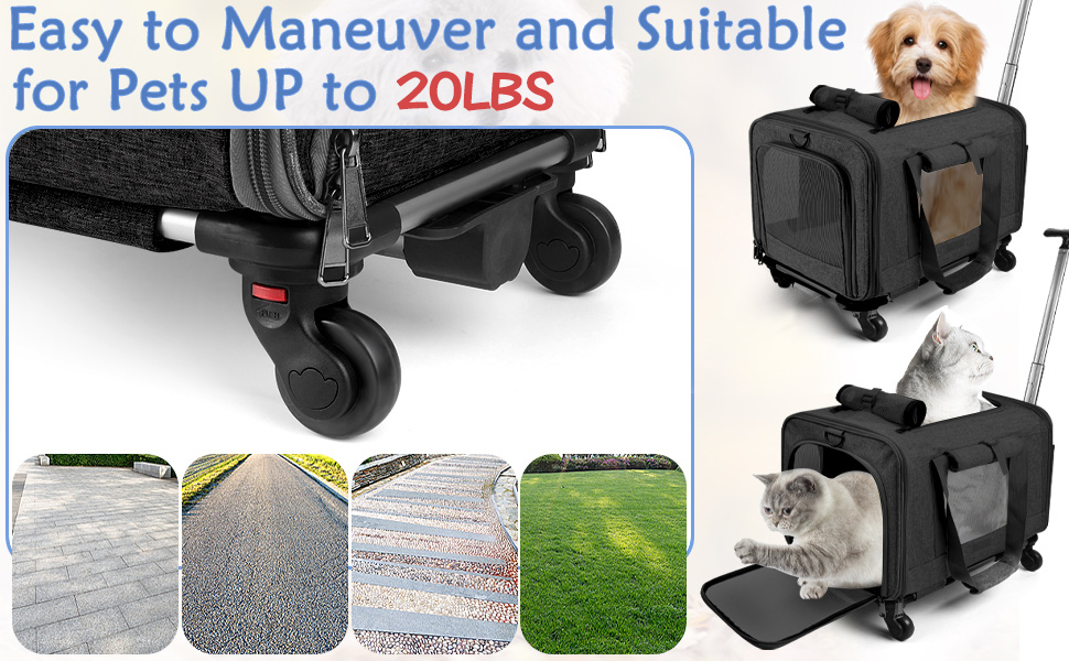 Pet Carrier for Medium Cats or Puppy Under 20LBS TSA Delta