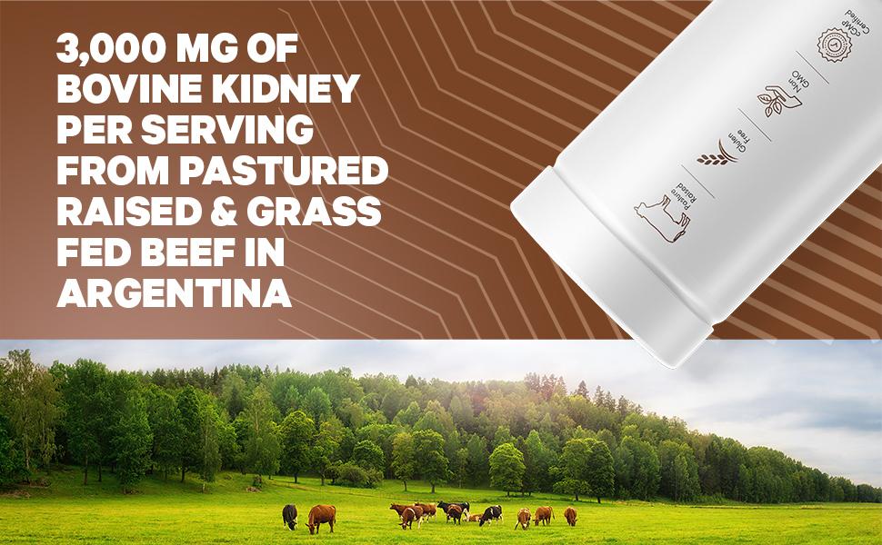 Codeage - GLUTEN FREE, NON-GMO, SOY FREE, NO REFRIGERATION