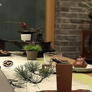新製品のニャチャン飴結老料沈香手串 新製品のニャチャン飴結老料沈香手串