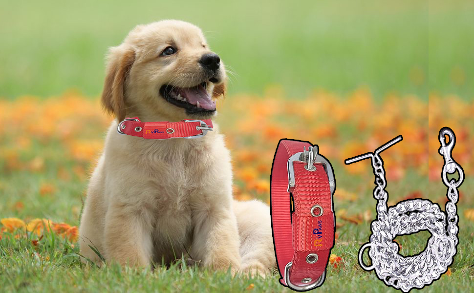 SPN-RECPP B09NZXJDPT