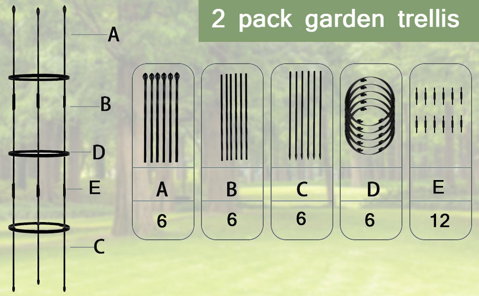 garden trellis