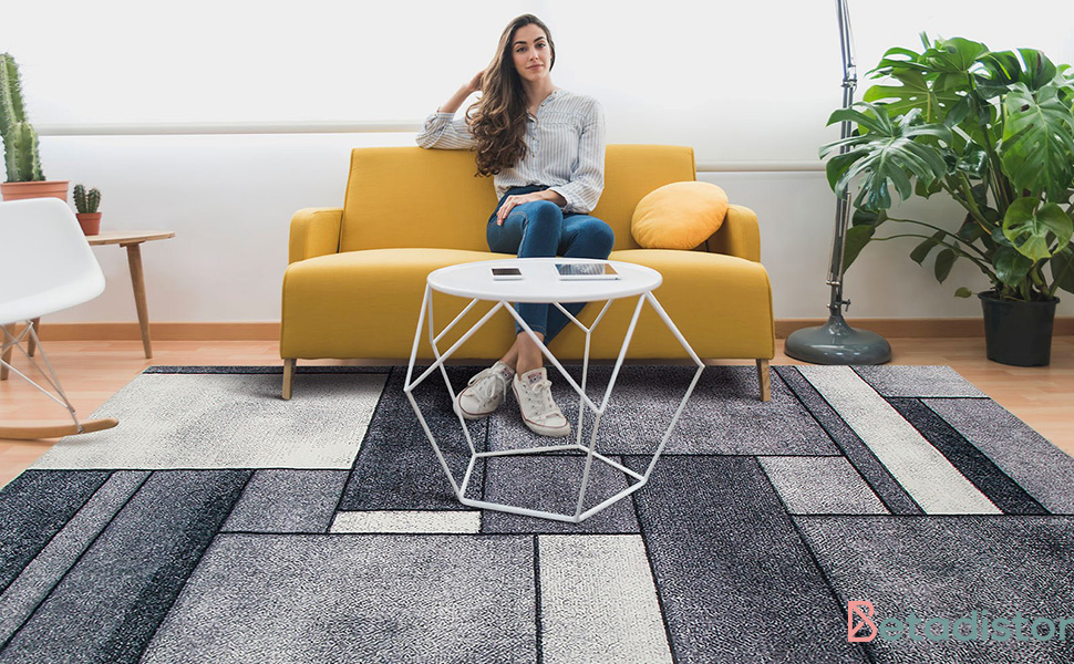 Betadistor Rugs for Bedroom, Area Rugs Modern Abstract Rugs 4 ft x 5.3