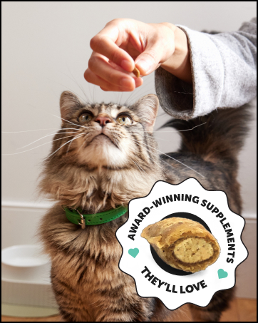 dental powder for cats