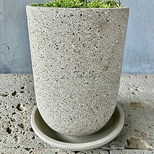 エバーフレッシュ ファイバー鉢 お皿付き エバーフレッシュ ファイバー鉢 お皿付き 観葉植物