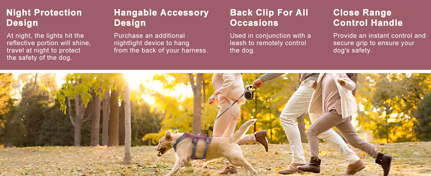 dog harness small sized dog