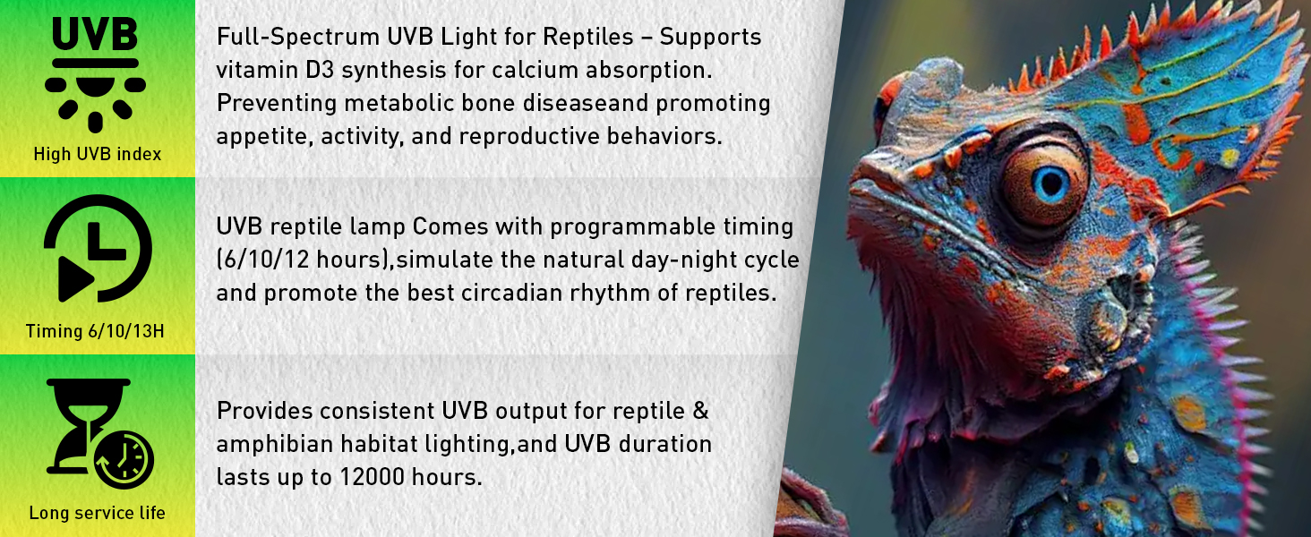 UVB reptile lamp