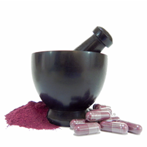 Eldermune Elderberry