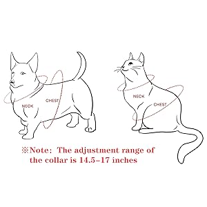 fit for cat and smalll dog