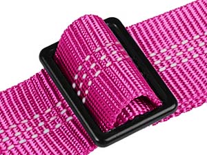 dog harness for car seat belt