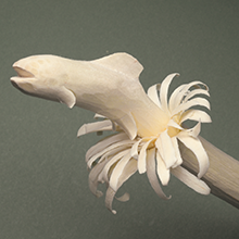 Small manufacture image 5