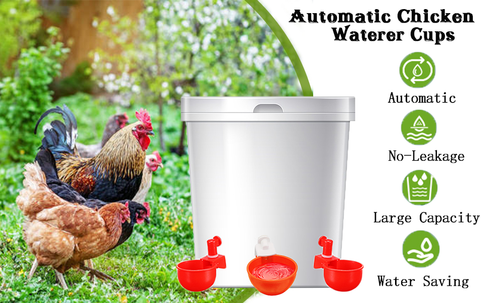 12 Pack Large Chicken Water Cups,Automatic Chicken Waterer
