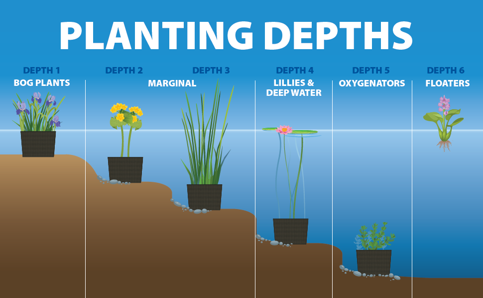 Image of aeration in water garden