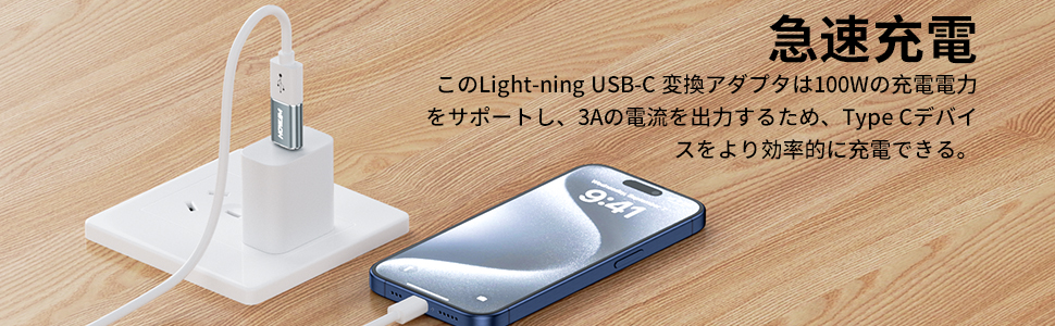 Amazon.co.jp: HOWJIM USB Type-C 変換アダプタ 3A 100W急速充電