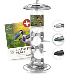 Körner Vogelfutterspender aus Edelstahl 35cm, Silber