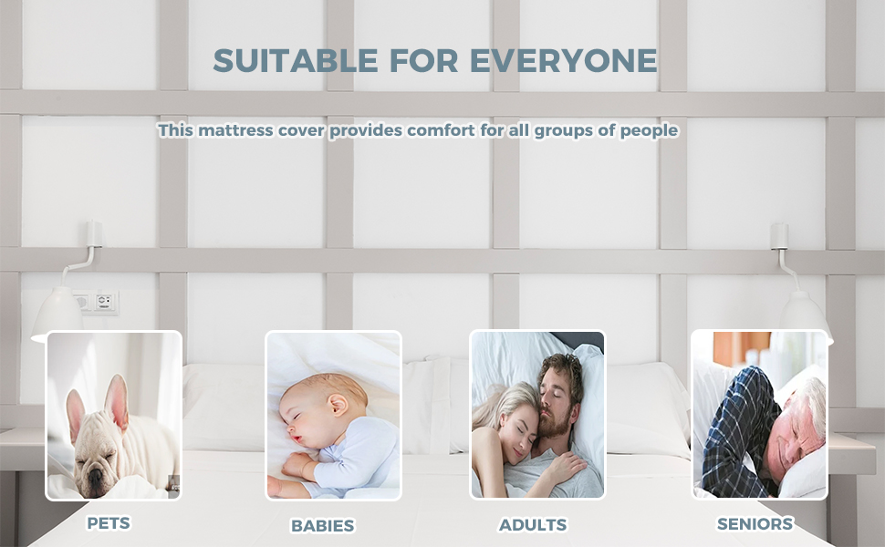 Absorbent Six-Sided Mattress Cover